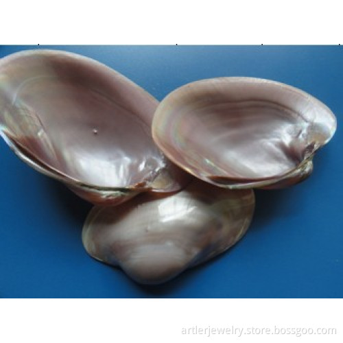 Pink Shell